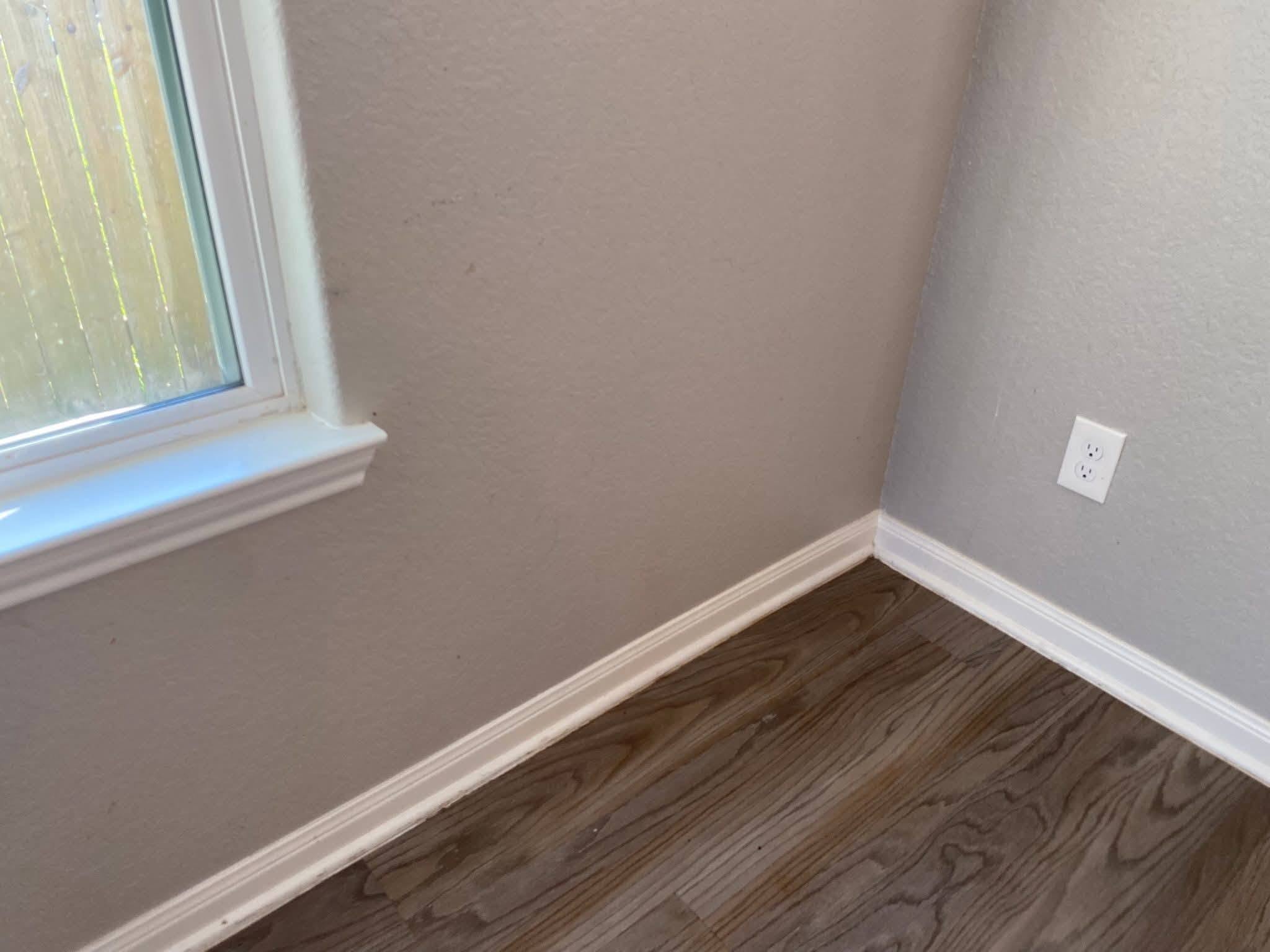 Baseboards and floor edges cleaned down in a bright room